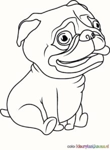 Pug puppy kleurplaat