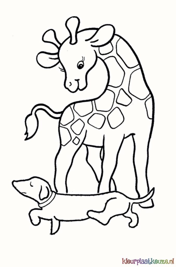 giraffe en hond kleurplaat