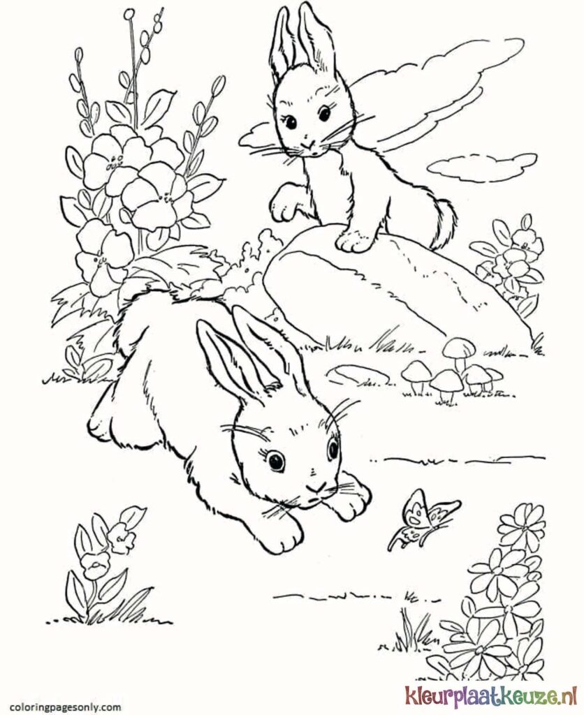 kleurplaat konijnen op boerderij