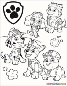 kleurplaat paw patrol leuke groep