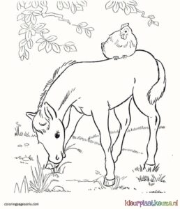 kleurplaat pony met kip