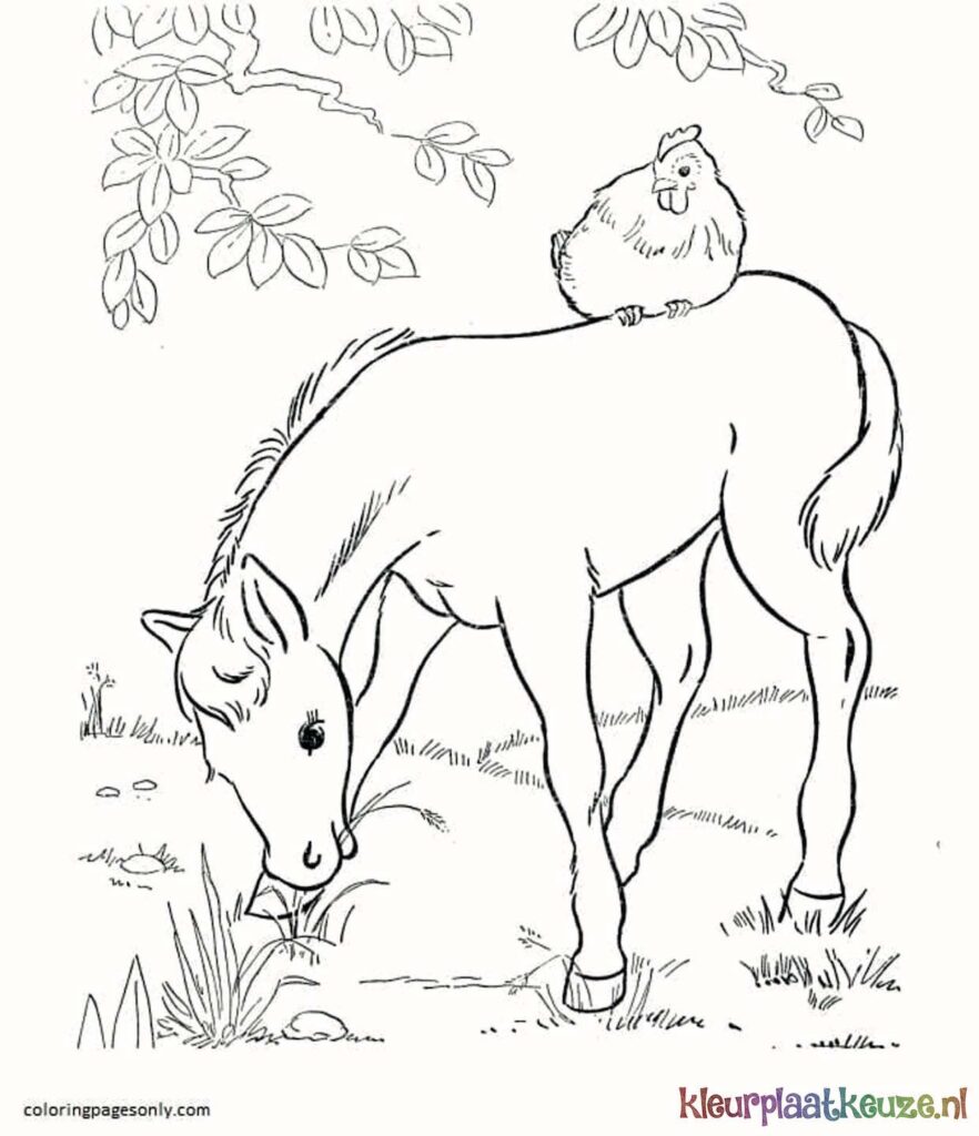 kleurplaat pony met kip