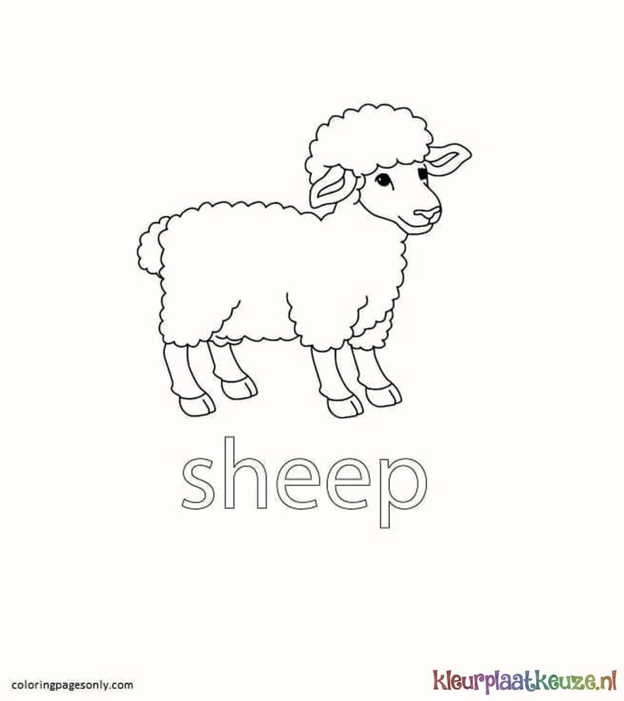 kleurplaat schaap engels