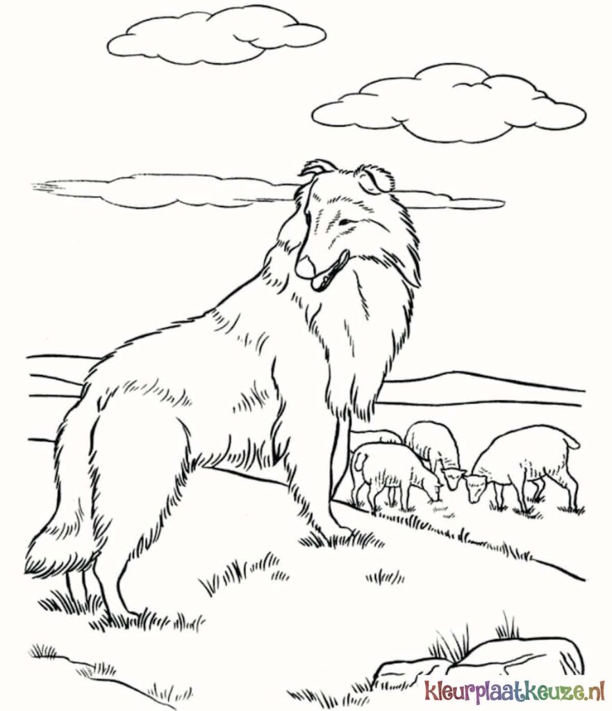 lassie de hond kleurplaat