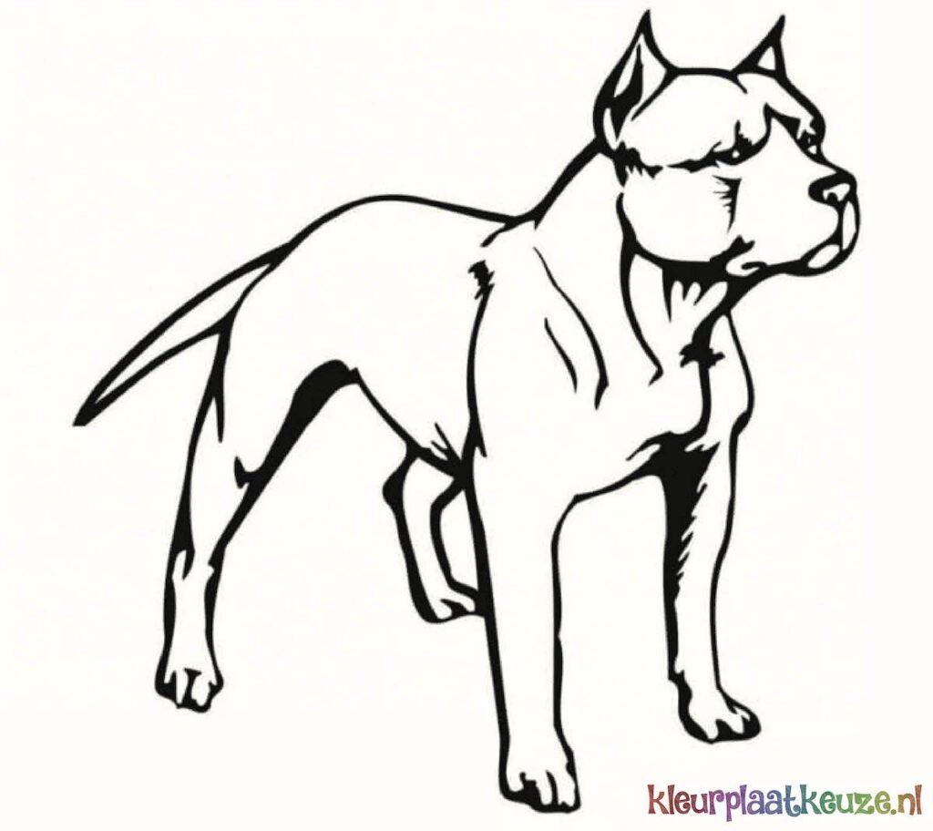 pitbull hond kleurplaat