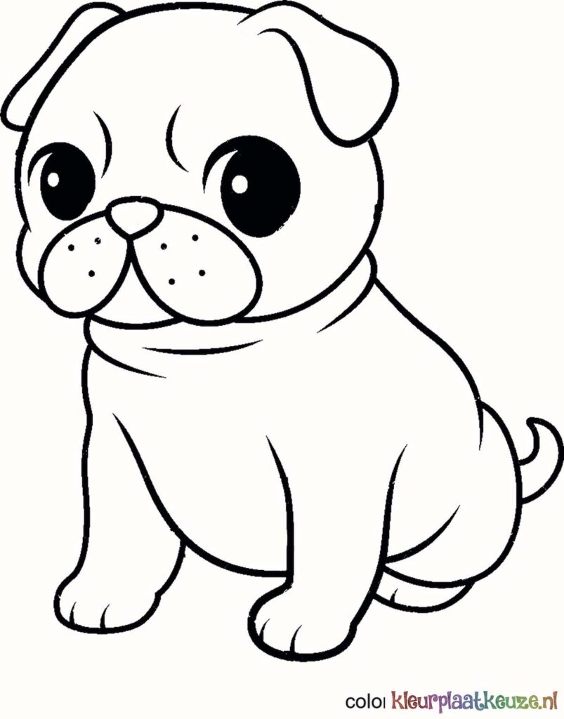 pug hond kleurplaat