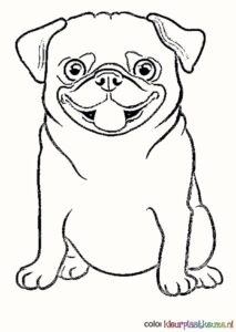 pug hondje kleurplaat