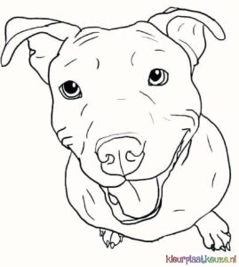 vrolijke pitbull kleurplaat