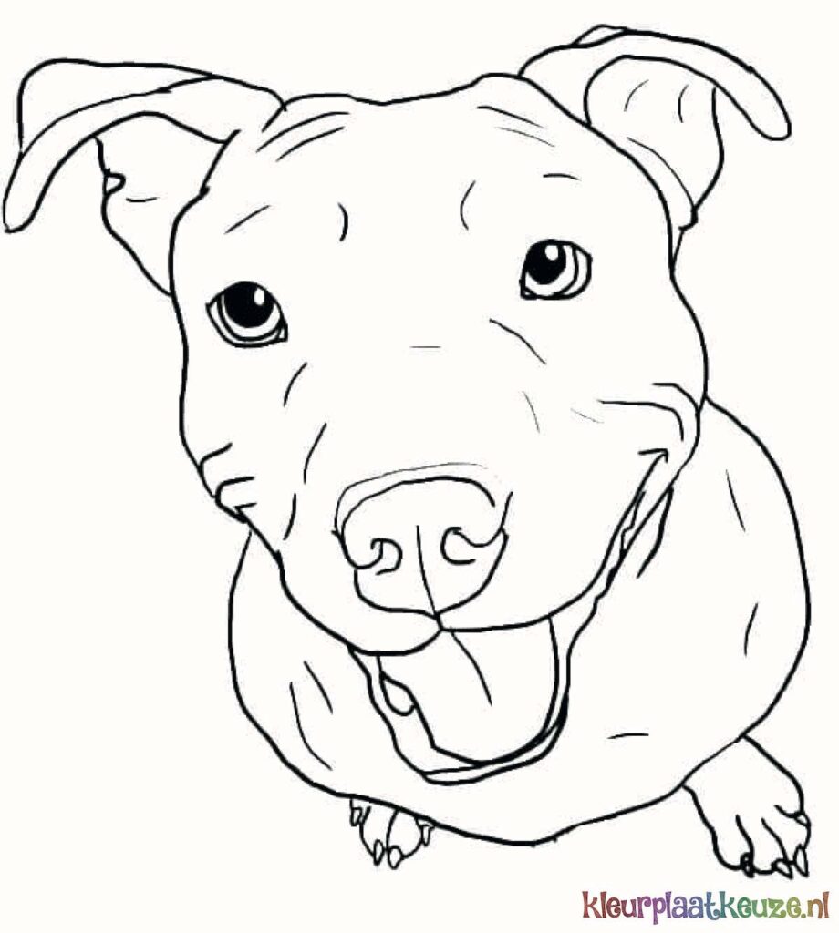 vrolijke pitbull kleurplaat